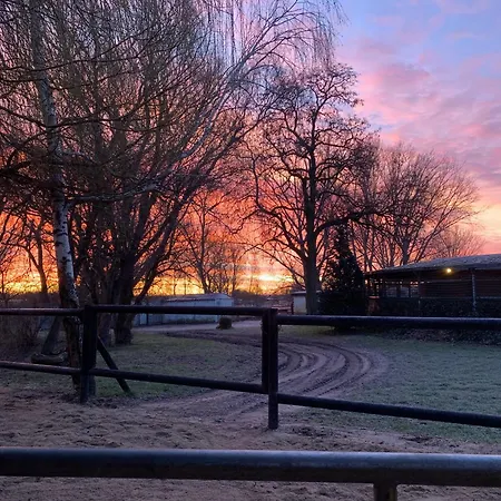 Vakantieboerderij Ruhiges Wohlfuehlzimmer Auf Dem Pferdehof Gut - Mit Kochnische, Wlan & Kostenlosem Parken Greppin
