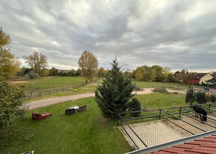 Ruhiges Wohlfuehlzimmer Auf Dem Pferdehof Gut - Mit Kochnische, Wlan & Kostenlosem Parken