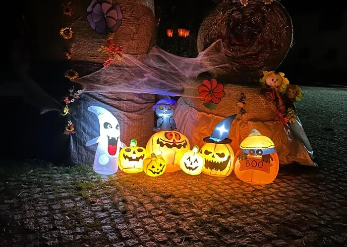 Ruhiges Wohlfuehlzimmer Auf Dem Pferdehof Gut - Mit Kochnische, Wlan & Kostenlosem Parken * Greppin